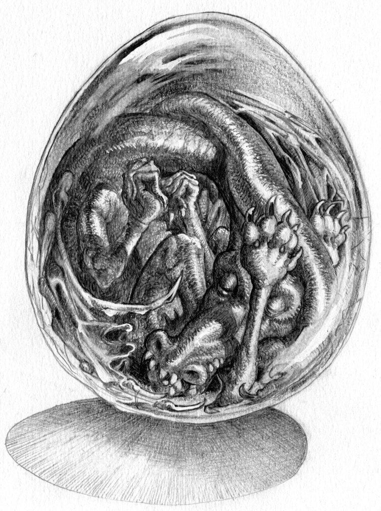 33-Oeuf-de-dragon-033