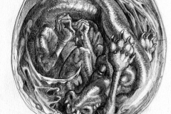 33-Oeuf-de-dragon-033