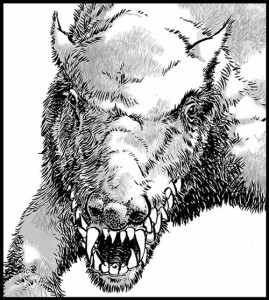 Monstre_du_bois_portrait