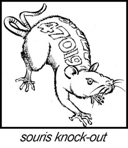 Souris-47OI19-texte