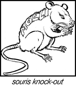 souris-M6ELT-texte