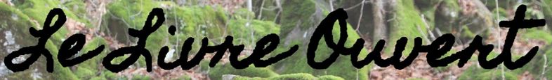 lelivreouvert-logo