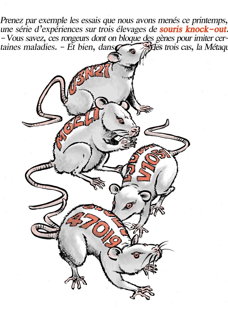 Souris-Knock-Out
