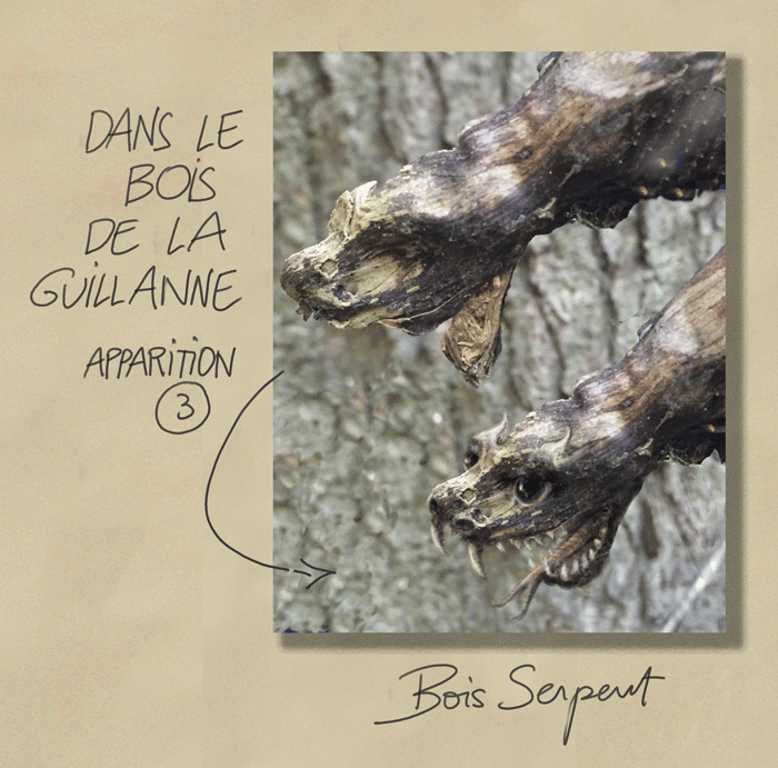 Bois-serpent